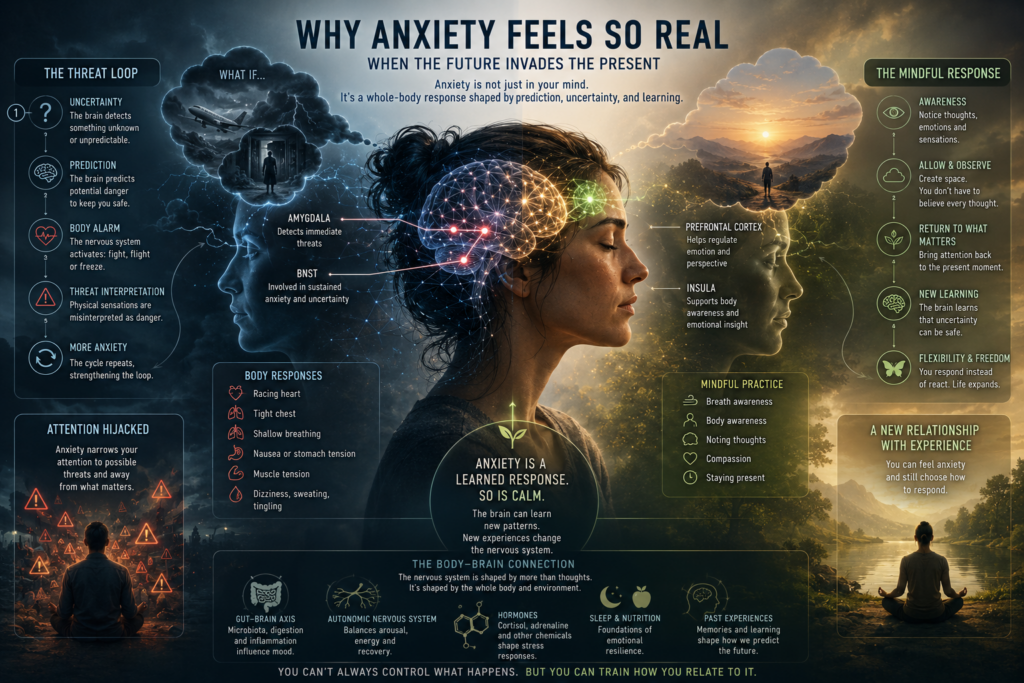 Why Anxiety Feels So Real - Conceptual neuroscience illustration showing how uncertainty, predictive processing, autonomic nervous system activity, and mindfulness influence anxiety through the interaction between the brain, body, and emotional regulation.